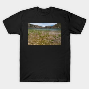 Lake Coleridge T-Shirt